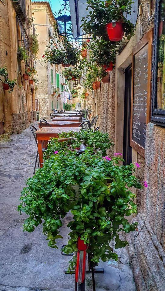 Apartment Appartamento Gaia A Tropea